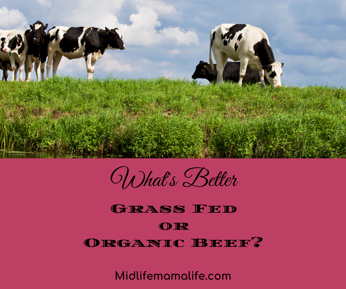 What’s Better Grass Fed or Organic Beef?