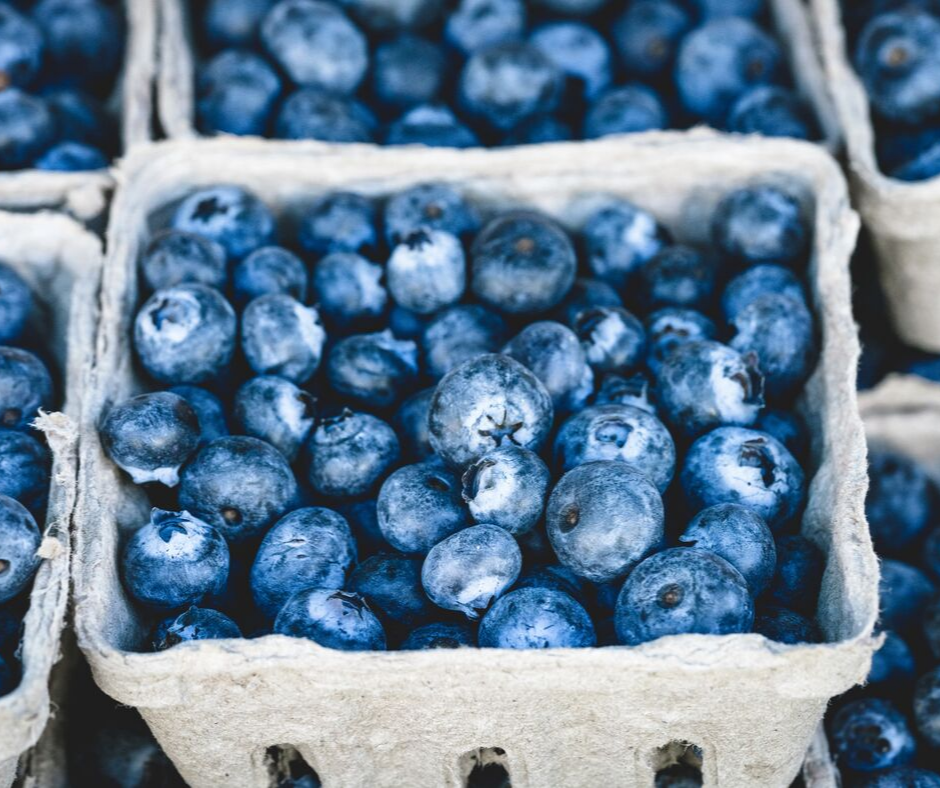 blueberries are good for memory and concentration